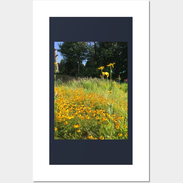 Black Eyed Susans Wall Art by artdesrapides